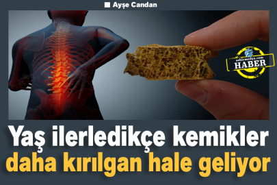 Yaş ilerledikçe kemikler daha kırılgan hale geliyor
