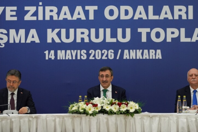 Cumhurbaşkanı Yardımcısı Yılmaz: Bu sene genel büyümemize tarımın katkısı pozitif olacak