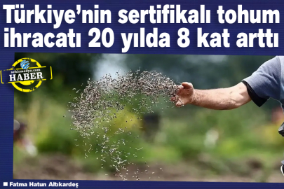 Türkiye’nin sertifikalı tohum ihracatı 20 yılda 8 kat arttı