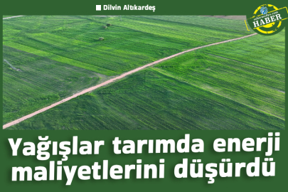 Yağışlar tarımda enerji maliyetlerini düşürdü
