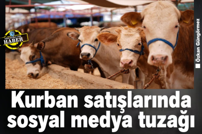 Kurban satışlarında sosyal medya tuzağı