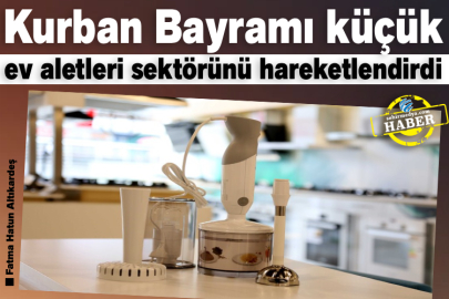 Kurban Bayramı küçük ev aletleri sektörünü hareketlendirdi