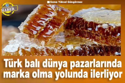 Türk balı dünya pazarlarında marka olma yolunda ilerliyor