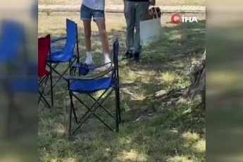 Bursa'da sarı yılan paniği