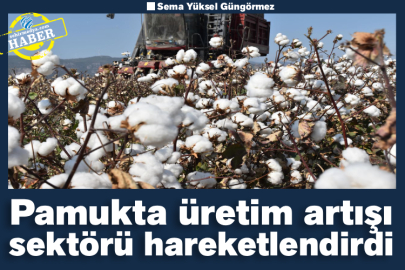 Pamukta üretim artışı sektörü hareketlendirdi