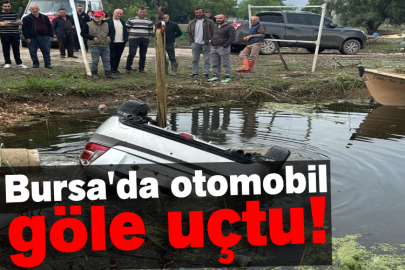 Bursa'da otomobil göle uçtu