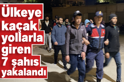 Ülkeye kaçak yollarla giren 7 şahıs yakalandı