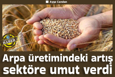 Arpa üretimindeki artış sektöre umut verdi