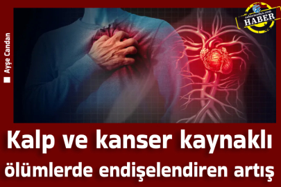 Kalp ve kanser kaynaklı ölümlerde endişelendiren artış
