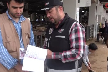 Kurban pazarında güldüren anlar