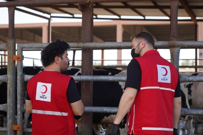 Türk Kızılayın kurban bağışı kampanyası tatil günlerinde de sürüyor