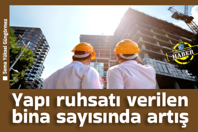 Yapı ruhsatı verilen bina sayısında artış