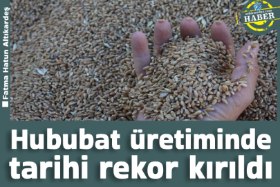 Hububat üretiminde tarihi rekor kırıldı