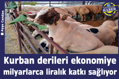 Kurban derileri ekonomiye milyarlarca liralık katkı sağlıyor