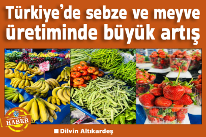 Türkiye’de sebze ve meyve üretiminde büyük artış