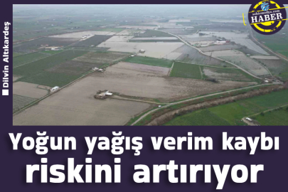 Yoğun yağış verim kaybı riskini artırıyor