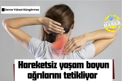 Hareketsiz yaşam boyun ağrılarını tetikliyor 