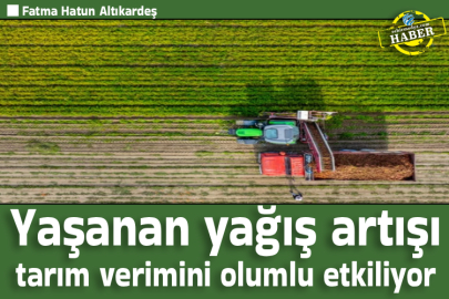 Yaşanan yağış artışı tarım verimini olumlu etkiliyor