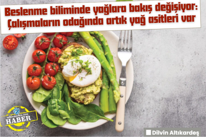 Beslenme biliminde yağlara bakış değişiyor: Çalışmaların odağında artık yağ asitleri var