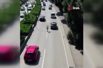 Canını hiçe sayarak akan trafikte yürüdü