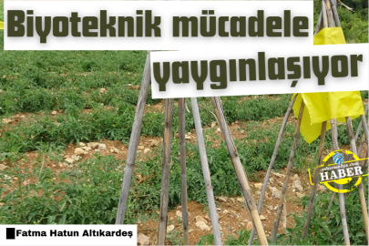 Biyoteknik mücadele yaygınlaşıyor 