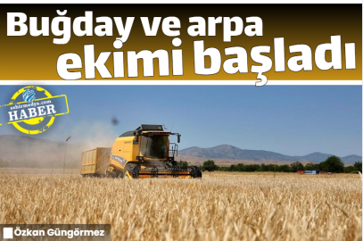 Buğday ve arpa ekimi başladı 
