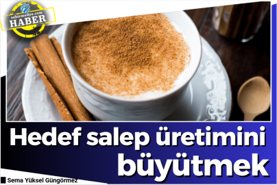 Hedef salep üretimini büyütmek