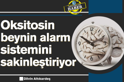 Oksitosin beynin alarm sistemini sakinleştiriyor 