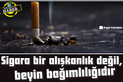 Sigara bir alışkanlık değil, beyin bağımlılığıdır