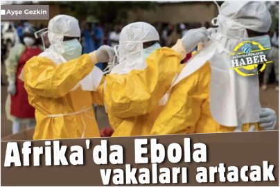 Afrika'da Ebola vakaları artacak