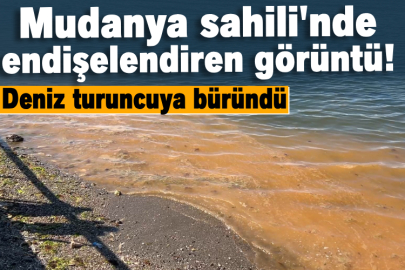 Mudanya sahili'nde endişelendiren görüntü! Deniz turuncuya büründü