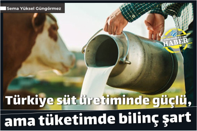 Türkiye süt üretiminde güçlü, ama tüketimde bilinç şart