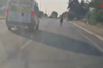 Bursa'da başıboş at ana yolda trafiği tehlikeye attı