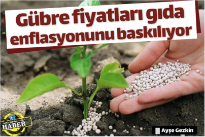 Gübre fiyatları gıda enflasyonunu baskılıyor