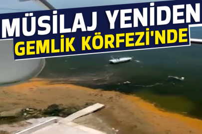 Müsilaj yeniden Gemlik Körfezi'nde