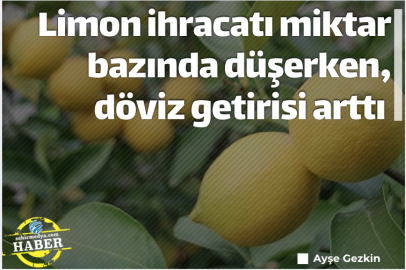 Limon ihracatı miktar bazında düşerken, döviz getirisi arttı