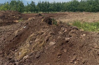 Organik gübre fiyatları geçen yıl ile aynı