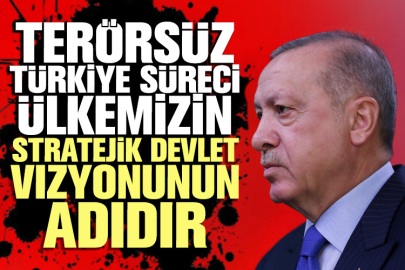 Cumhurbaşkanı Erdoğan: Terörsüz Türkiye süreci ülkemizin stratejik devlet vizyonunun adıdır