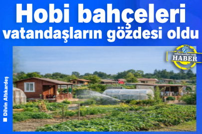 Hobi bahçeleri vatandaşların gözdesi oldu