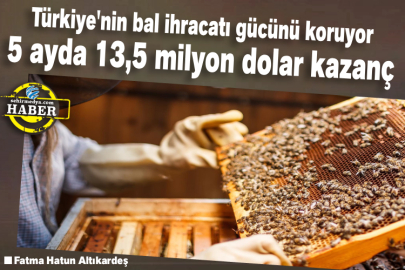 Türkiye'nin bal ihracatı gücünü koruyor 5 ayda 13,5 milyon dolar kazanç