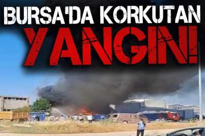 Bursa'da korkutan yangın!
