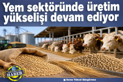 Yem sektöründe üretim yükselişi devam ediyor