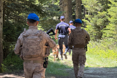 Uludağ'ın zümrüt yeşili ormanları Jandarma'ya emanet