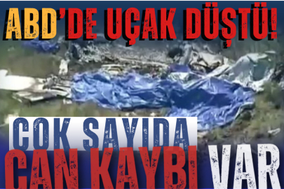 ABD'de uçak düştü! Çok sayıda can kaybı var