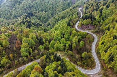 Tarım ve Orman Bakanı Yumaklı'dan orman yangınlarına karşı uyarı