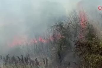 Bursa'da otluk alanda çıkan yangın korkuttu
