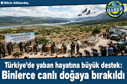 Türkiye’de yaban hayatına büyük destek: Binlerce canlı doğaya bırakıldı