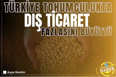 Türkiye tohumculukta dış ticaret fazlasını büyüttü