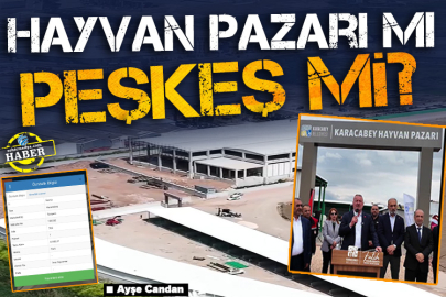 Hayvan pazarı mı peşkeş mi? 