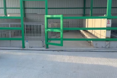 Hayvan pazarı mı peşkeş mi?